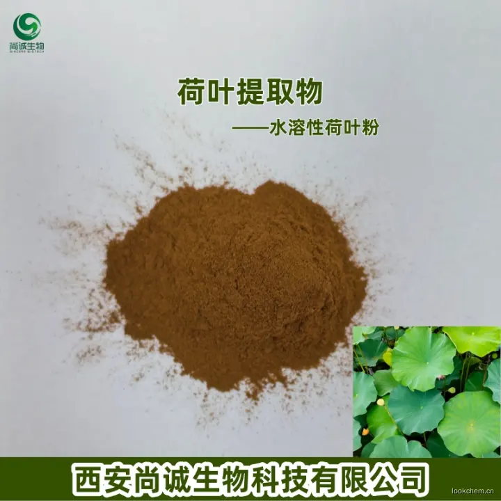 荷叶提取物 10：1 尚诚生物.jpg