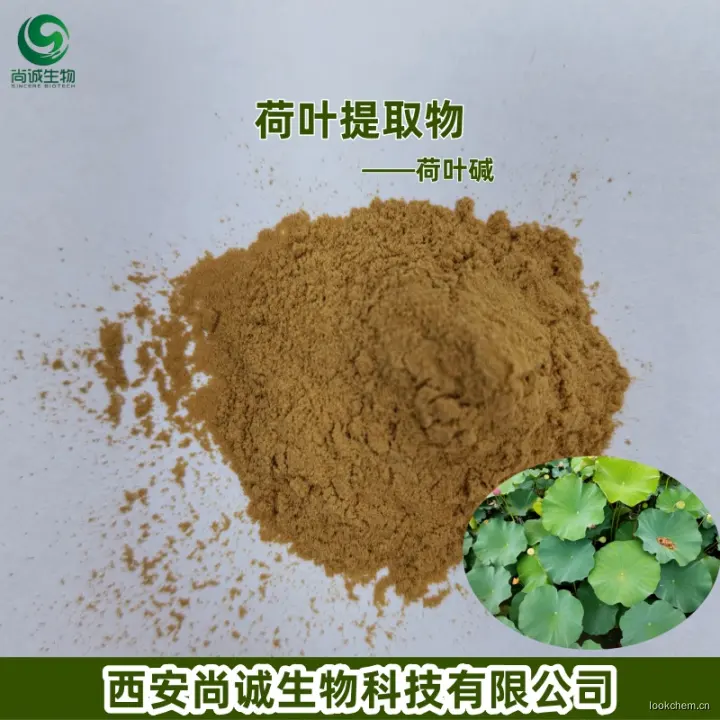 荷叶提取物 荷叶碱 尚诚生物.jpg
