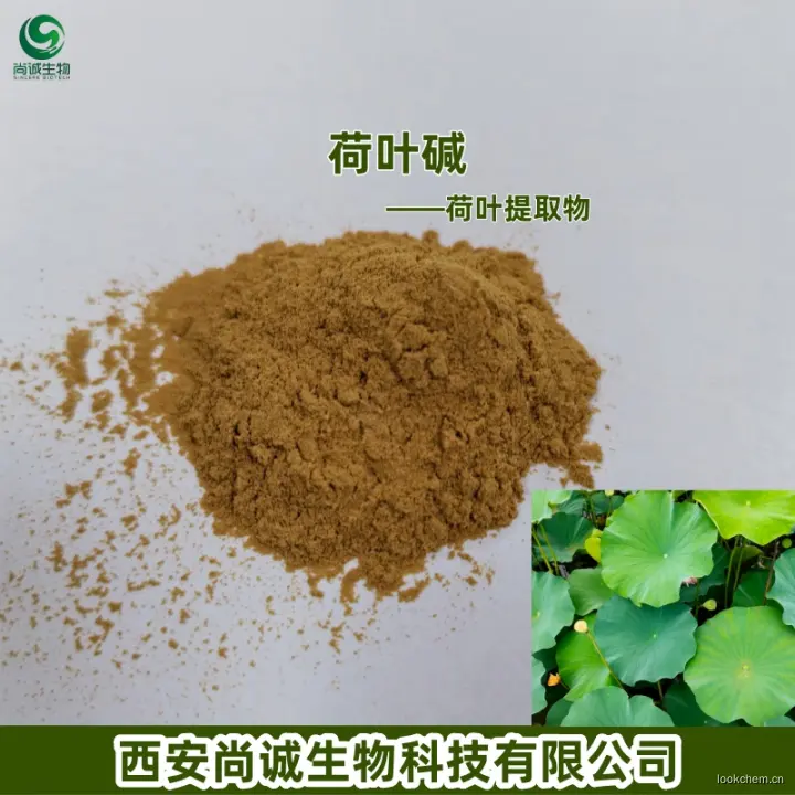 荷叶提取物 荷叶碱 尚诚生物-1.jpg