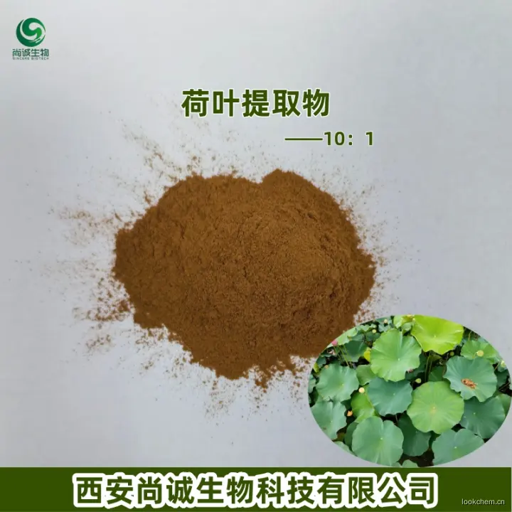 荷叶提取物 水溶性荷叶粉 尚诚生物.jpg