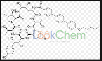 上海安分化学科技有限公司成立于2011年。我们拥有专业的磷系