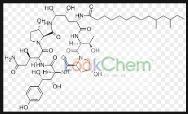 上海安分化学科技有限公司成立于2011年。我们拥有专业的磷系