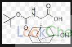 N-叔丁氧羰基-3-羟基-1-金刚烷基-D-甘氨酸