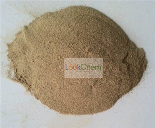 本产品可以直接应用于各种水基钻井液体系中，用作降滤失剂、防塌