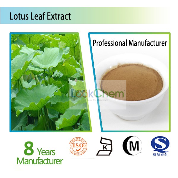 荷叶提取物