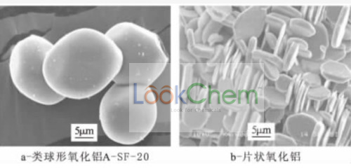 不同形貌氧化铝