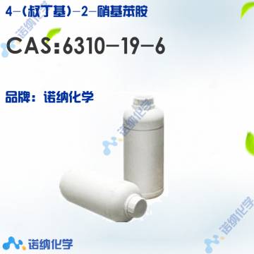 6310-19-6