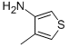 4-甲基-3-噻吩胺