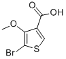 5-溴-4-甲氧基噻吩-3-羧酸
