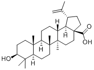 白桦脂酸