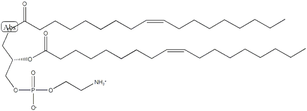 磷脂酰乙醇胺
