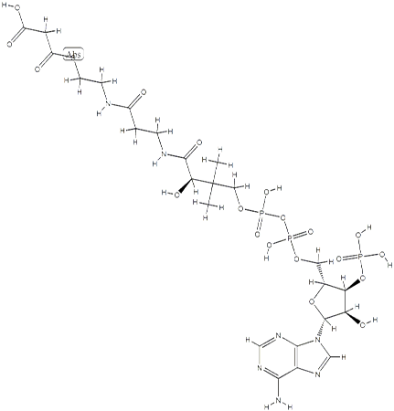 丙二酰辅酶A-钠盐