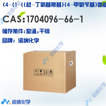 1704096-66-1