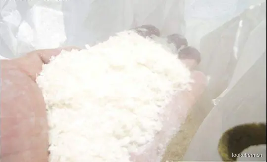 二醋酸纤维素粉末状