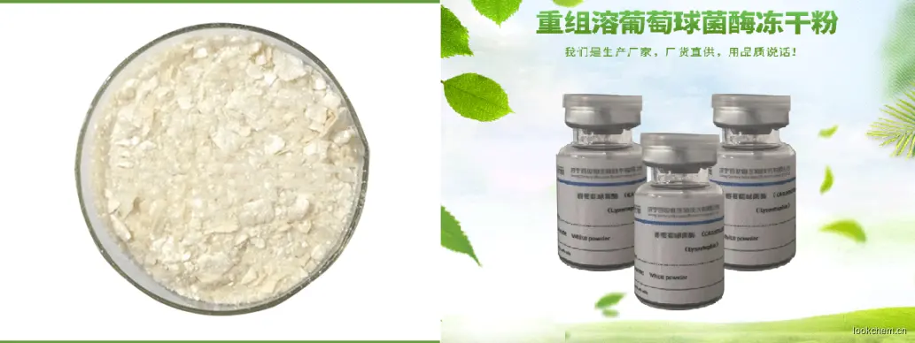 溶葡萄球菌酶于1964年由Schindler和Schuhar