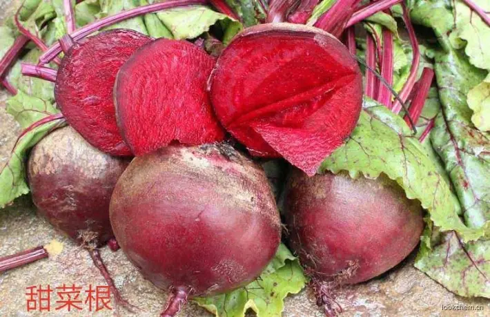 提取甜菜红的原料-甜菜根