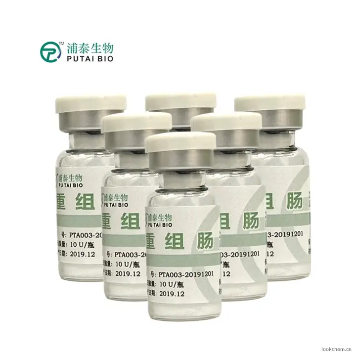 重组肠激酶厂家