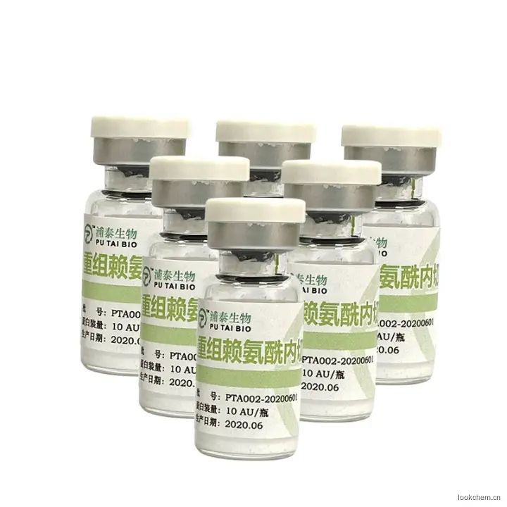 重组赖氨酰内切酶厂家