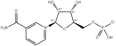 英文名称：	3-METHYLOXINDOLE 96
中文名称