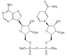 β-烟酰胺腺嘌呤二核苷酸二钠盐