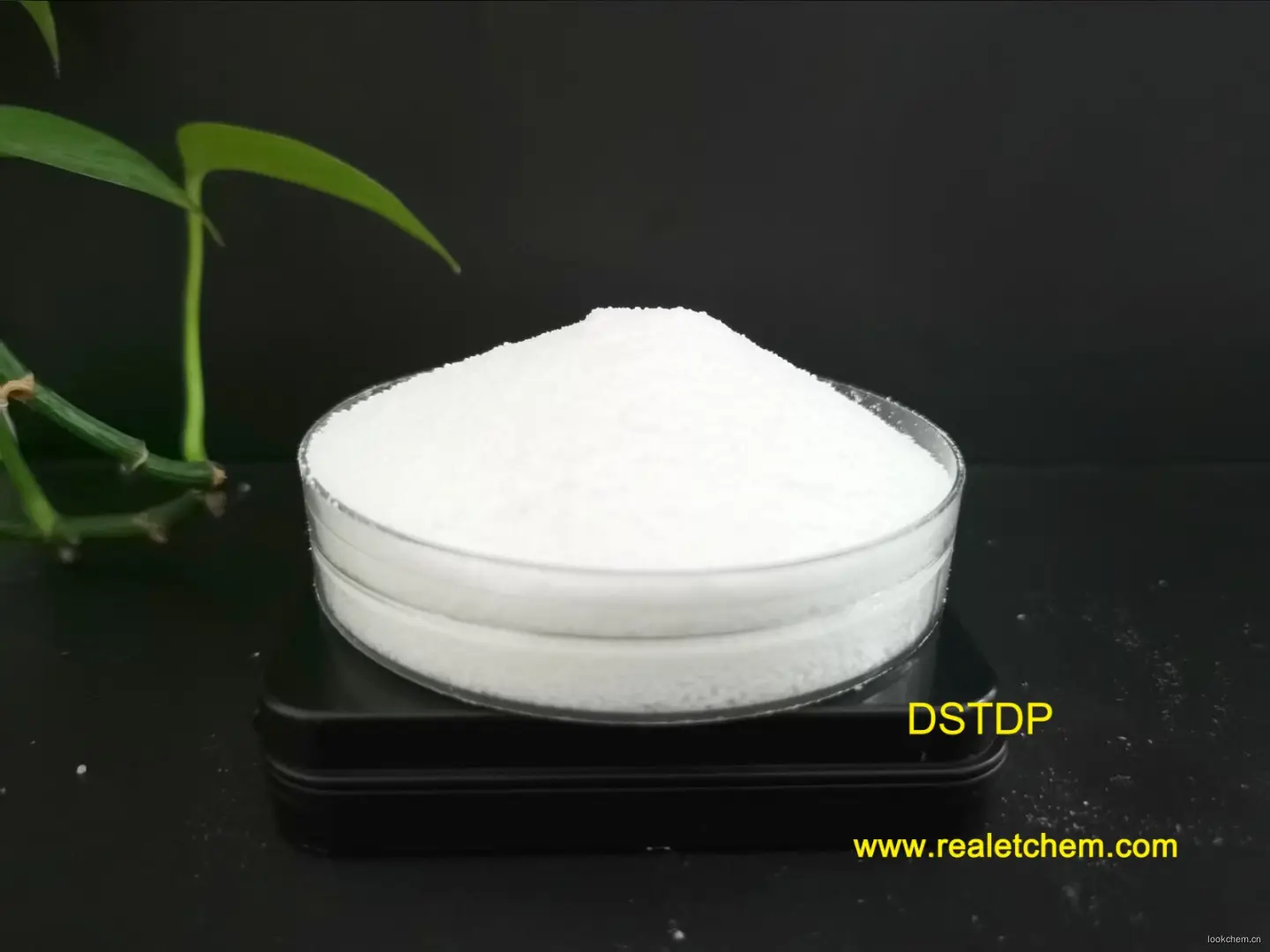 抗氧化剂DSTP是一种很好的辅助抗氧化剂