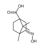 (3E)-3-(羟基亚胺)-4,7,7-三甲基双环[2.2.1]庚烷-1-羧酸