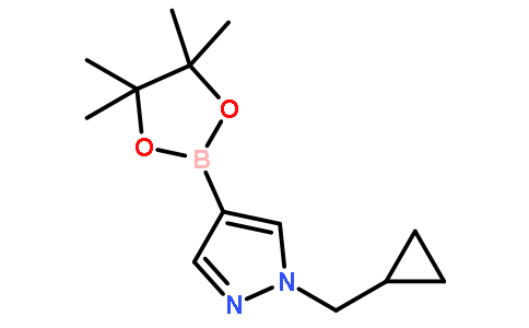 1-(环丙基甲基)-4-(4,4,5,5-四甲基-1,3,2-二?硼烷-2-基)-1H-吡唑