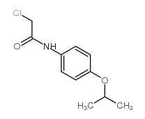 2-chloro-N-(4-propan-2-yloxyphenyl)acetamide
