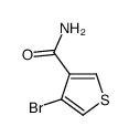 4-溴噻吩-3-甲酰胺