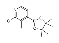 2-氯-3-甲基吡啶-4-硼酸频那醇酯