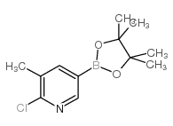 2-氯-3-甲基吡啶-5-硼酸频哪醇酯