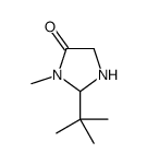 2-tert-butyl-3-methylimidazolidin-4-one
