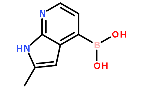 B-(2-甲基-1H-吡咯并[2,3-b]吡啶-4-基)硼酸