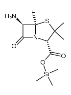 6-aminopenicillanic acid trimethylsilyl ester