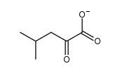4-methyl-2-oxopentanoate