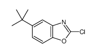 5-叔丁基-2-氯-苯并噁唑
