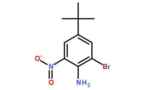 2-硝基-4-叔丁基-6-溴苯胺