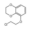 5-(2-chloroethoxy)-2,3-dihydro-1,4-benzodioxine