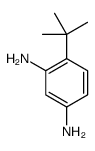 4-tert-butylbenzene-1,3-diamine