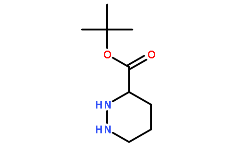 (S)-叔丁基六氢哒嗪-3-羧酸酯
