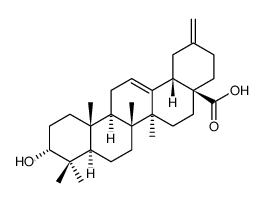 3alpha-木通萜酸对照品(标准品) | 104777-61-9