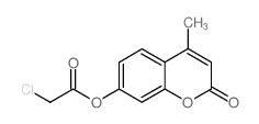 4-甲基-2-氧代-2H-色烯-7-基 氯乙酸酯