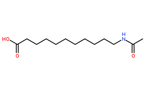 11-(acetylamino)- Undecanoic acid