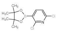 2,6-二氯吡啶-3-硼酸频哪酯