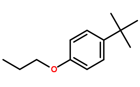 1-(2-甲基-2-丙基)-4-丙氧基苯