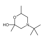 4-tert-butyl-2,6-dimethylmorpholin-2-ol
