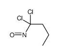 1,1-dichloro-1-nitrosobutane