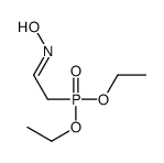 N-(2-diethoxyphosphorylethylidene)hydroxylamine