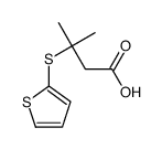 3-methyl-3-(2-thienylthio)Butanoic acid