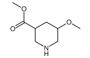 5-甲氧基哌啶-3-羧酸甲酯